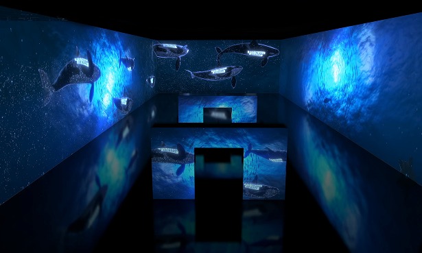 アルテミュージアム釜山の没入型展示室 — 四方の壁と床に青い海とクジラの映像が投影されたメディアアート空間。