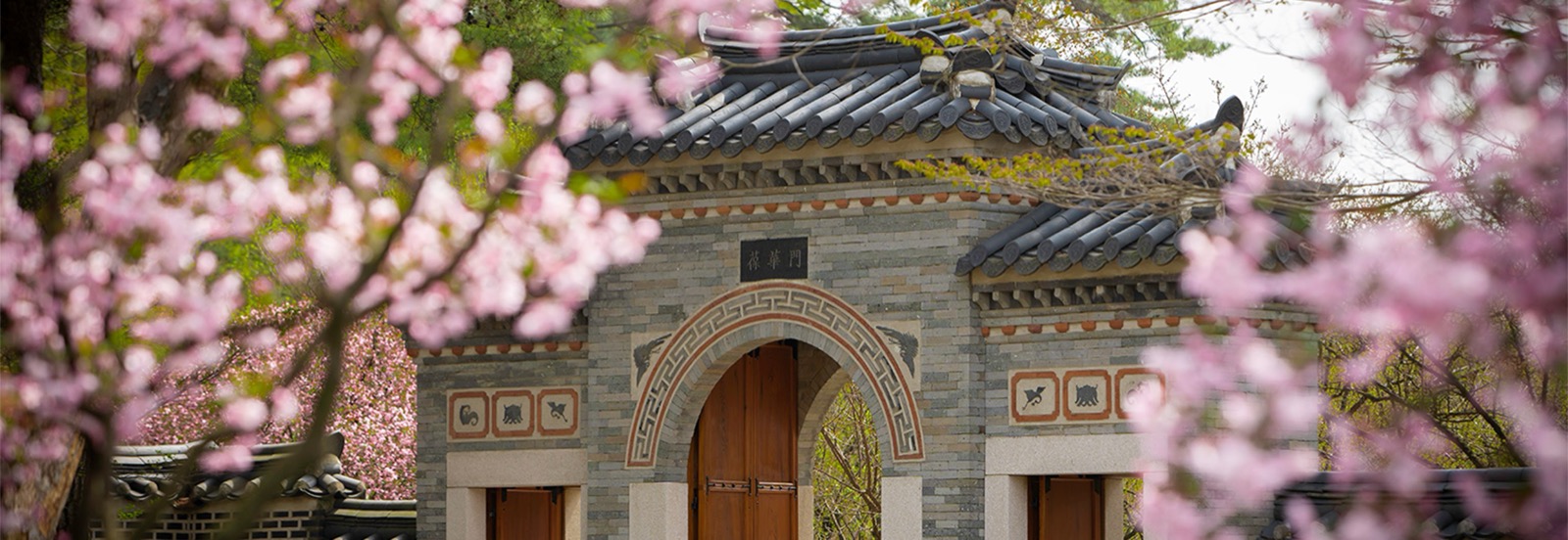 ホアム美術館の伝統庭園・熙園 — 春の花が咲く瓦屋根の伝統韓屋門の実際の姿。