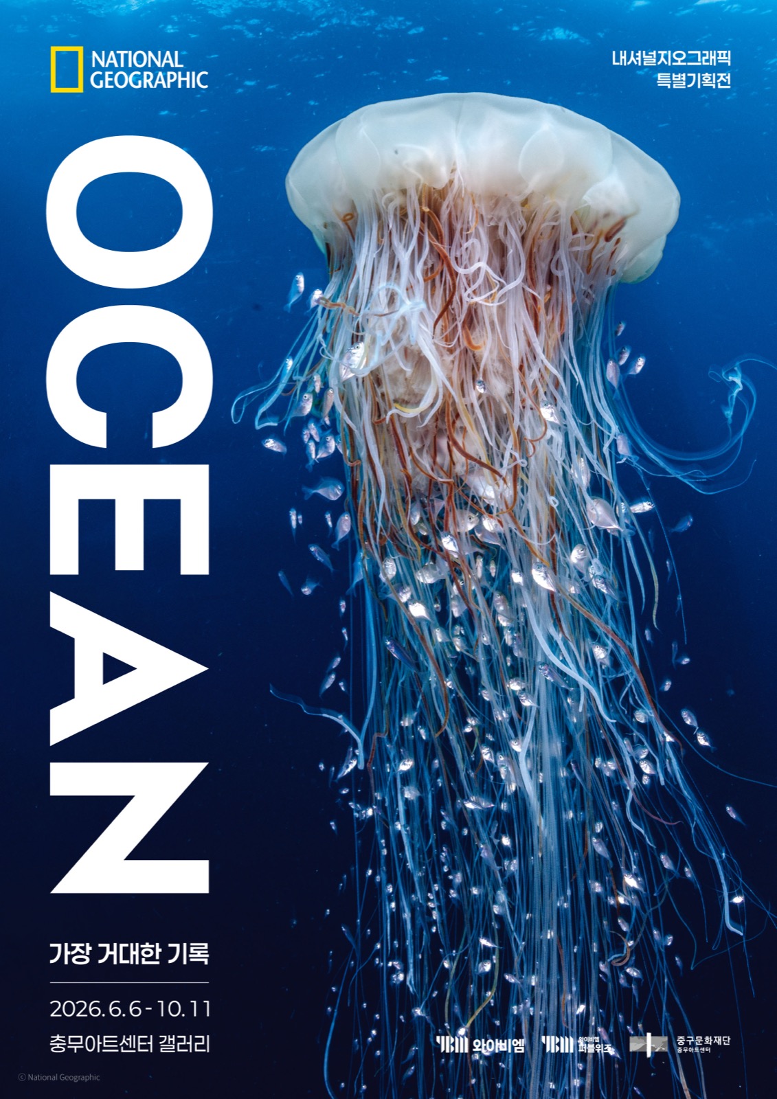 青い海を背景に長い触手を伸ばすクラゲと「OCEAN」の大きな文字が入った展示の公式ポスターです。